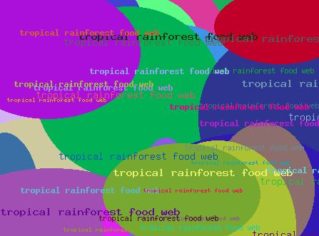 Tropical Rainforest Food Web